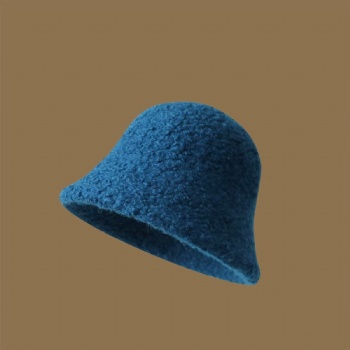 Ladies Wool hat